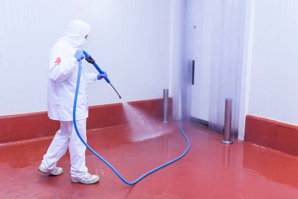 Best Paint Preparation  in New Cumberland, PA